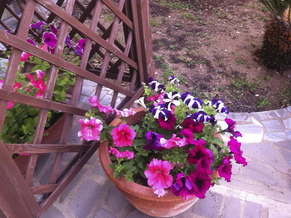 Torre Del Pozzo Bed & Breakfast