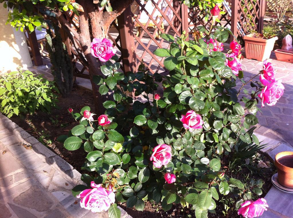 Bed & Breakfast Torre Del Pozzo S'archittu Cuglieri